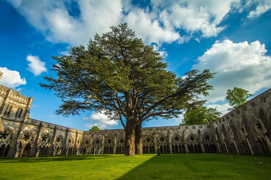 영국 솔즈베리 여행 관련 예시 사진