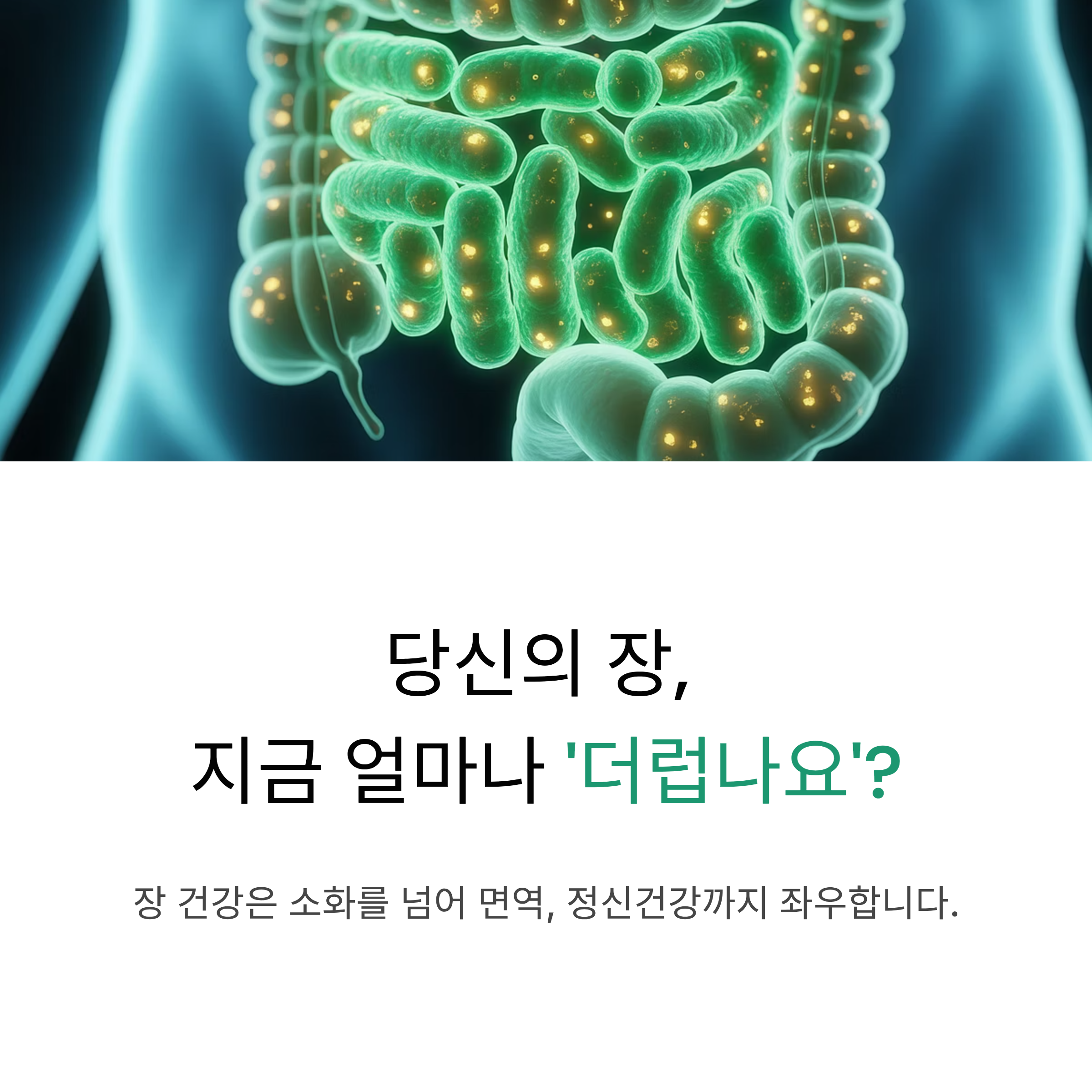 장 건강