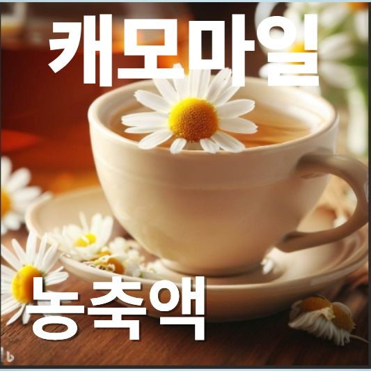 캐모마일 농축액, 자연의 힘으로 건강과 피부를 지키다