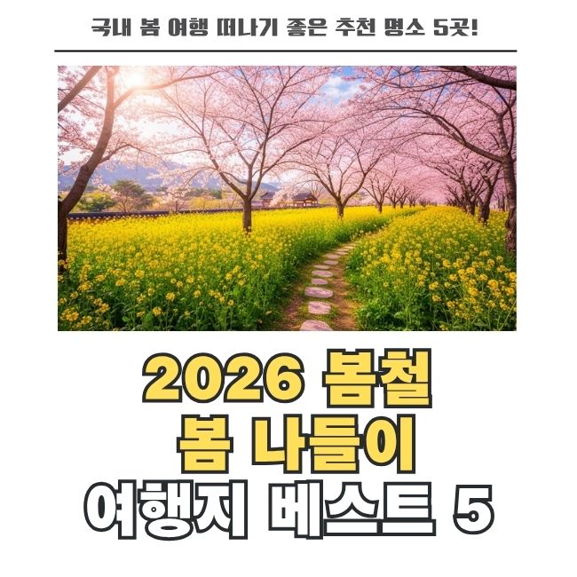 2026년 봄 기운 가득한 국내 여행지 꽃축제 추천