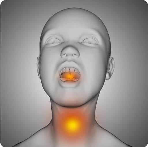 목 주변에 이상 신호가 감지되는 모습