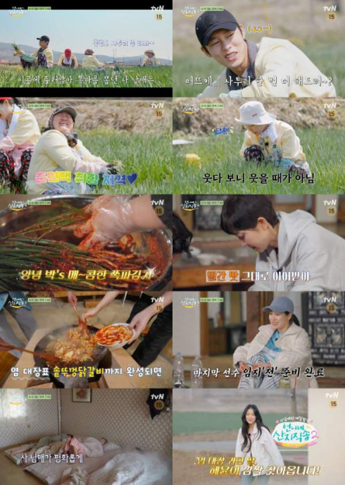언니네 산지직송2 보령 특집! 사 남매의 쪽파 수확부터 김혜윤 모닝 엔젤 등장까지