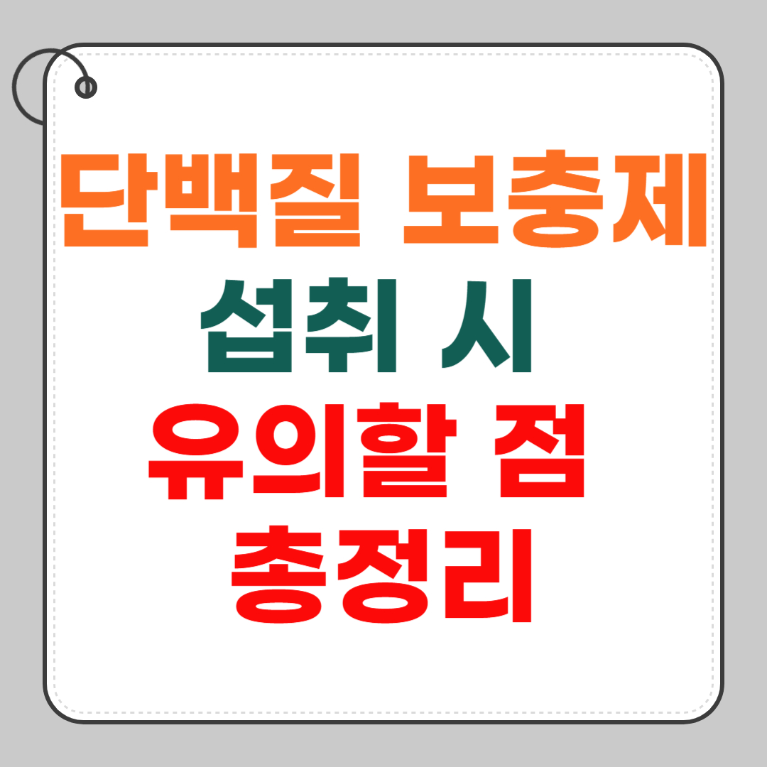 단백질-보충제-섭취-시-유의할-점-총정리