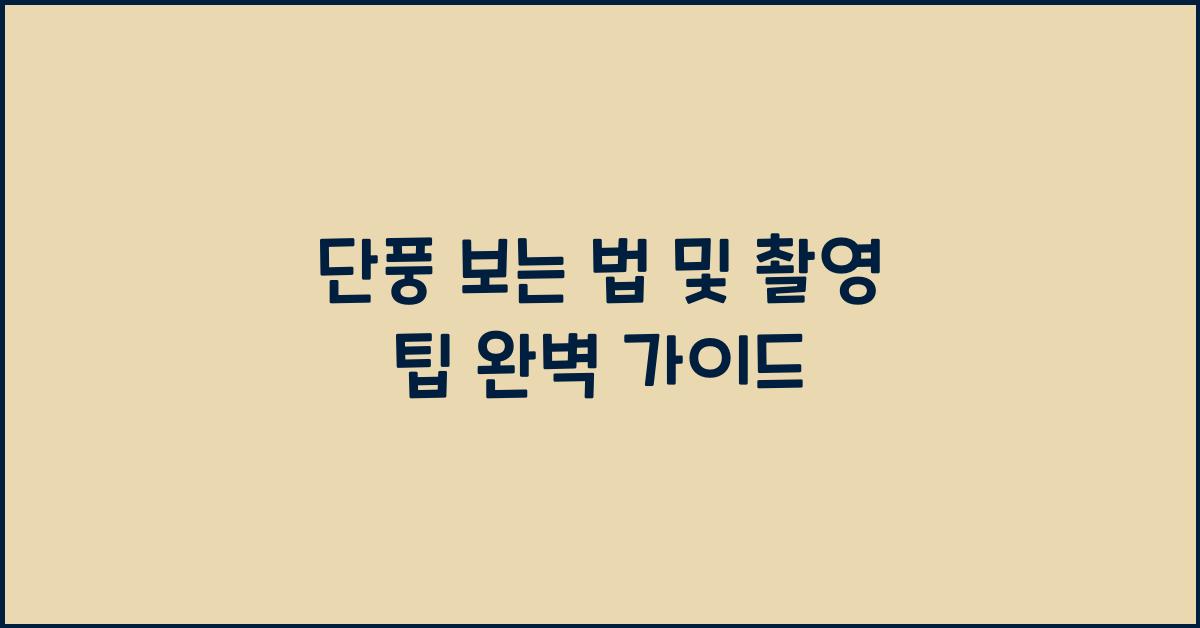 단풍 보는 법 및 촬영 팁
