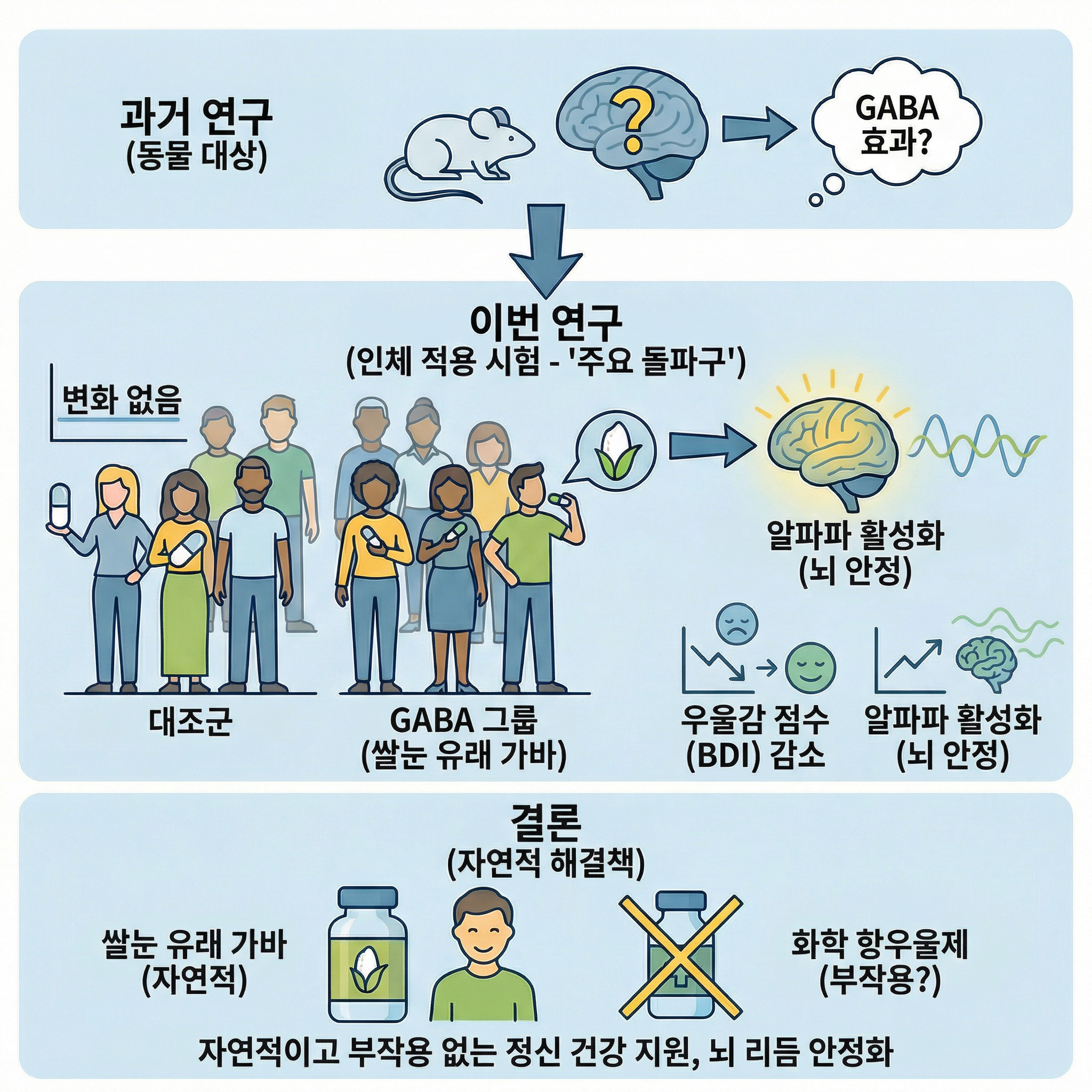 GABA 인체실험적용 결과 우울증에 효과가 입증되었다는 연구결과를 기반하여 과정과 결과를 이미지 만으로도 이해가 쉽도록 인포그라피 이미지.