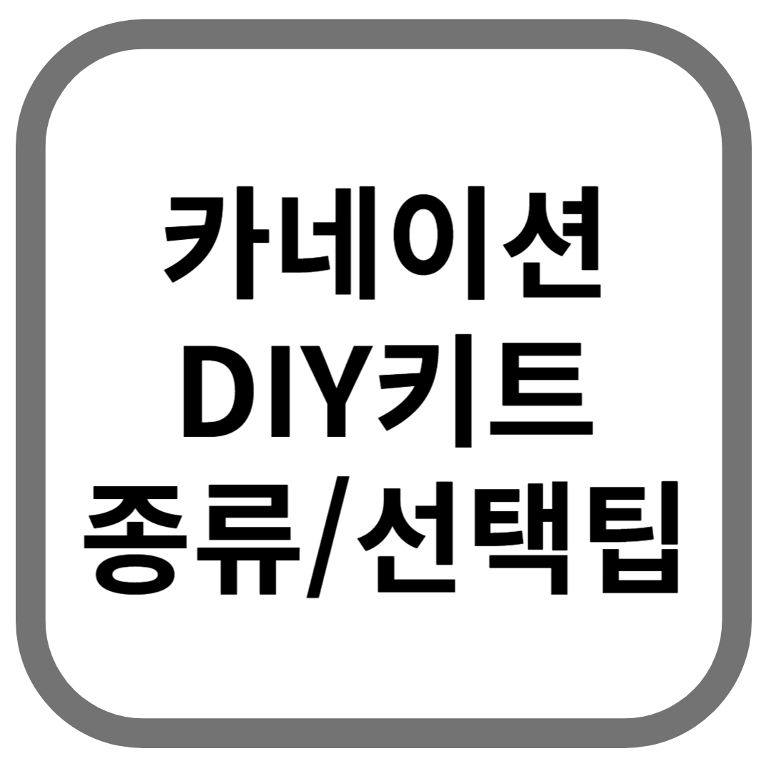 카네이션 DIY키트 종류/선택팁 이라고 적힌 썸네일