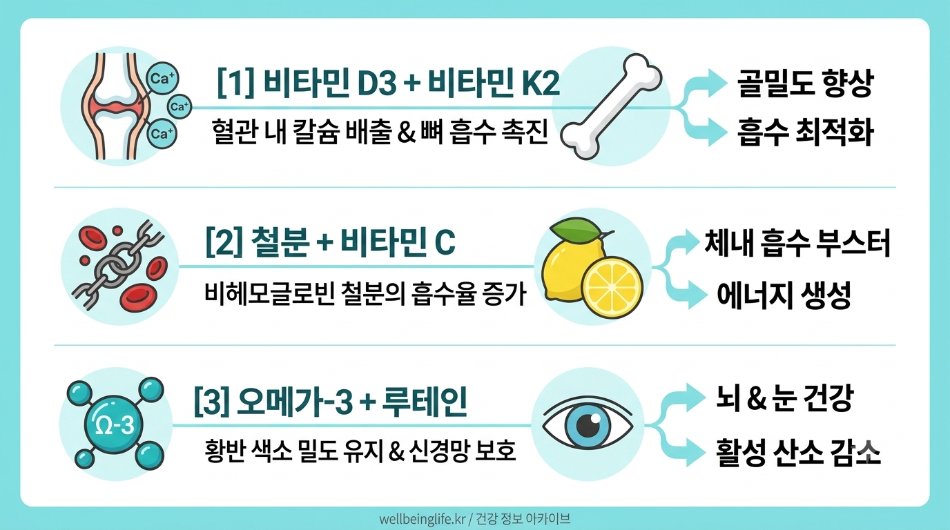 영양제 시너지 조합 비타민D K2 칼슘 뼈 흡수 및 철분 비타민C 복용 가이드