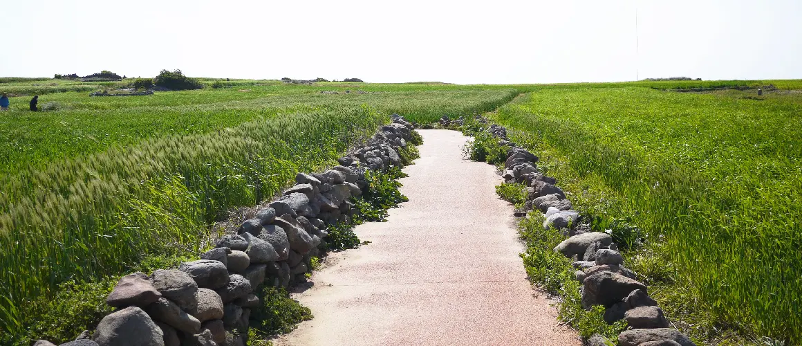 가파도 관련 사진 (출처: 제주관광공사 홈페이지)