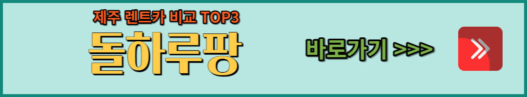 제주렌트카 (34)