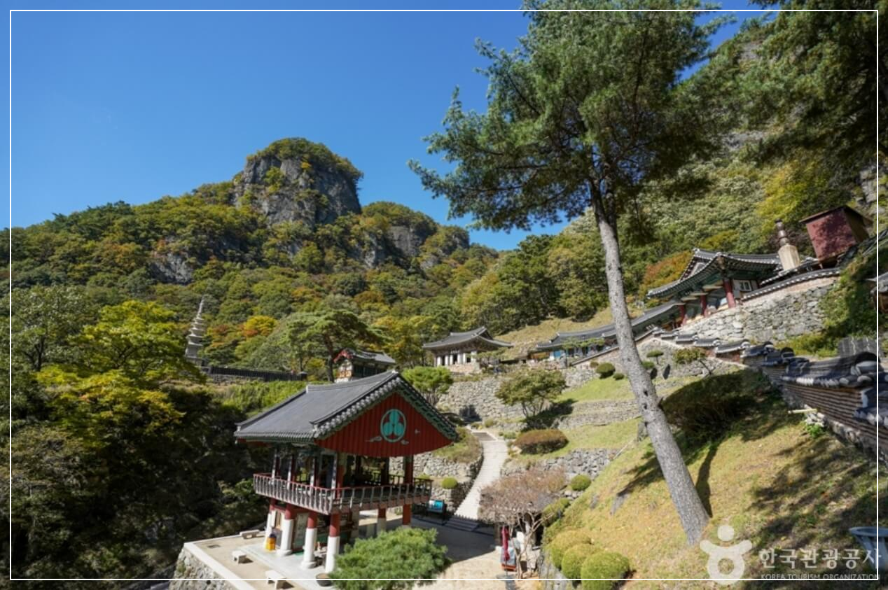 봉화 가볼만한곳 베스트10 청량산도립공원
