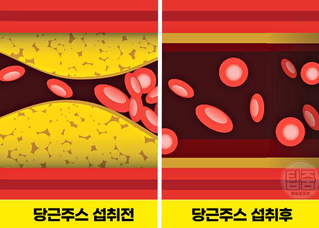 당근주스 효능 혈압조절 혈관청소