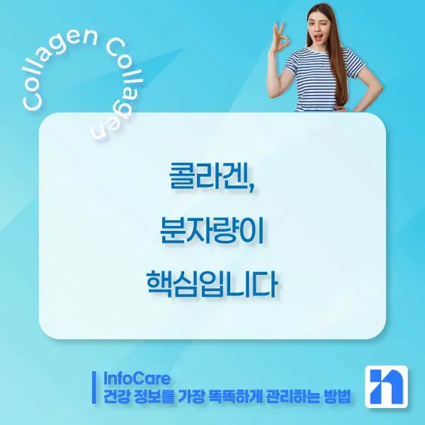 저분자 콜라겐 효능, 흡수율, 섭취방법, 먹는 시간