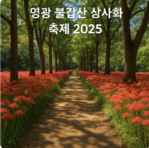 영광 불갑산 상사화 축제 2025, 절정 시기·행사 일정·주차 꿀팁 총정리 관련 사진