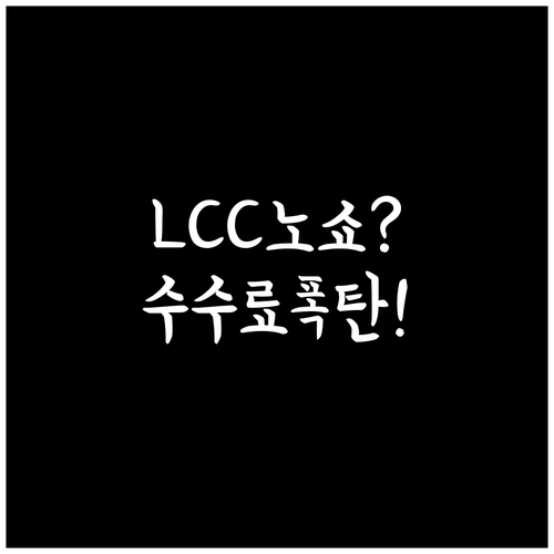 LCC 항공권 취소 수수료, 항공사별..