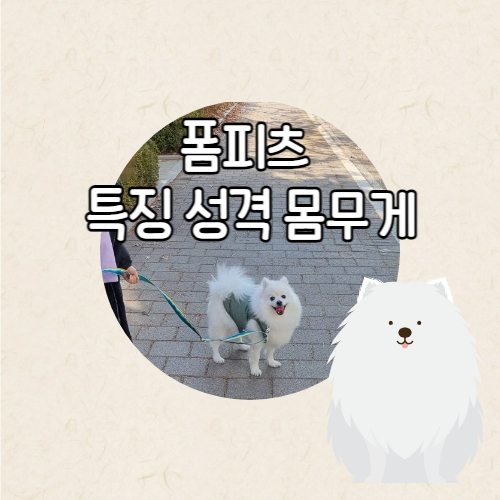 폼피츠 토토 특징에 대한 설명글의 썸네일