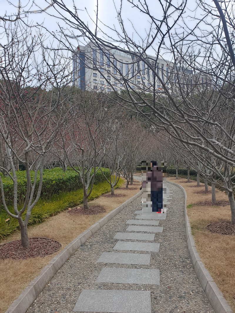 나무 사잇길을 걷는 사람. 편하게 산책할 수 있게 조성되어 있다.