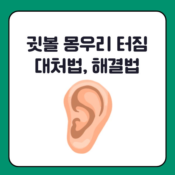 귓볼 몽우리 터졌을 때 대처법, 해결법