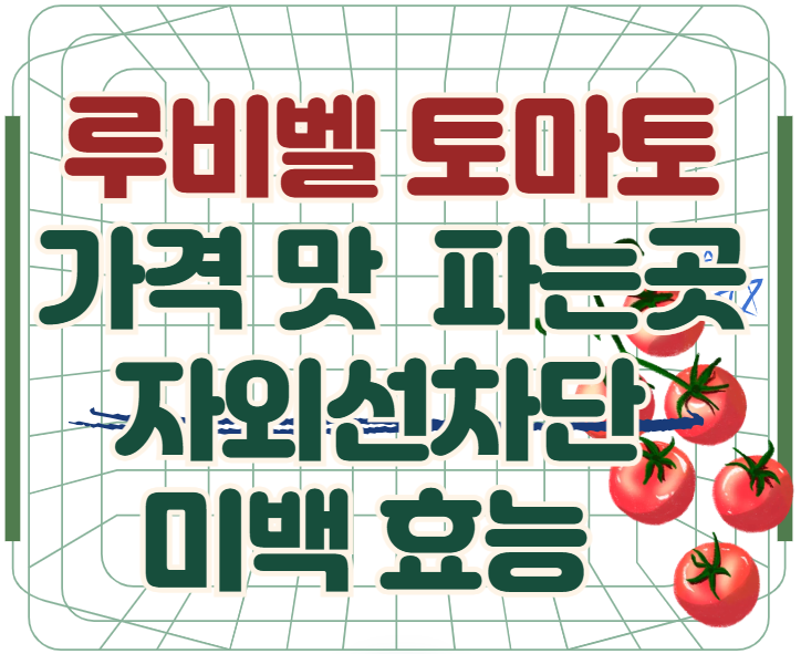 루비벨-토마토-가격-맛-파는곳-미백-자외선차단-효능