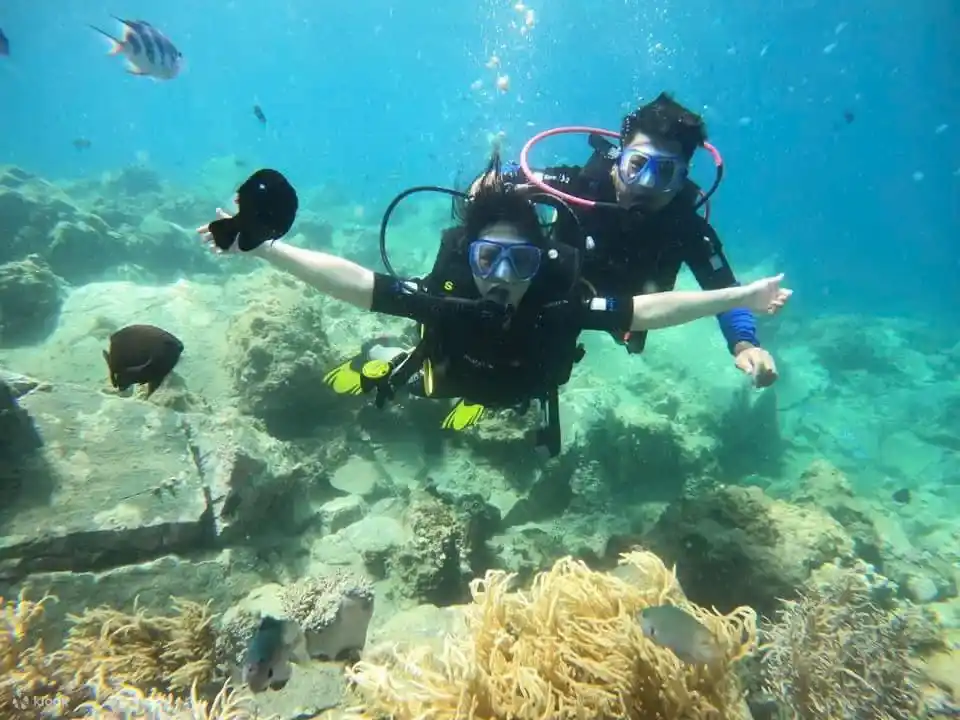 나트랑 산호초 스쿠버다이빙 국립 해양 보호구역 체험 베트남