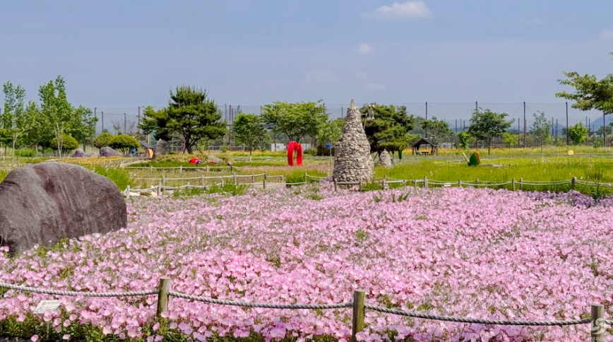 창원 대산플라워랜드 꽃구경 명소, 개화시기부터 주차팁까지 정리!