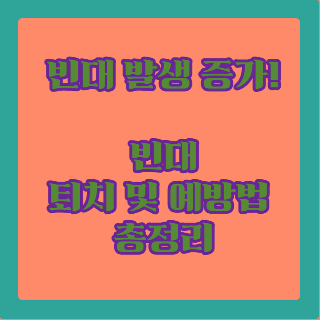 빈대란