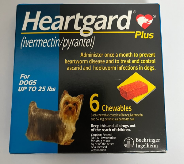 강아지_하트가드