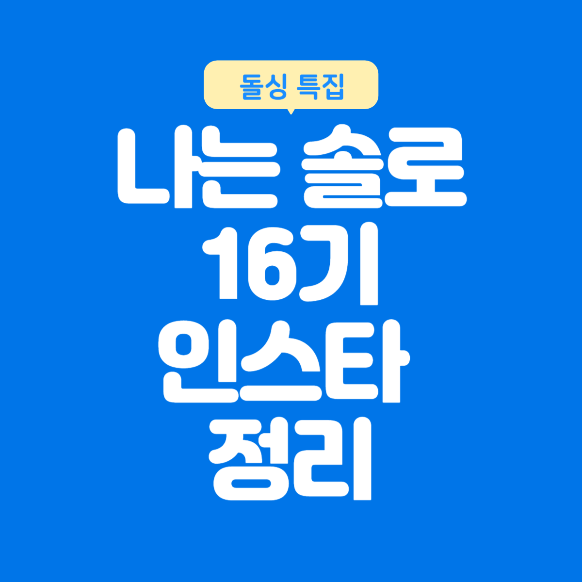 나는 솔로 16기 인스타