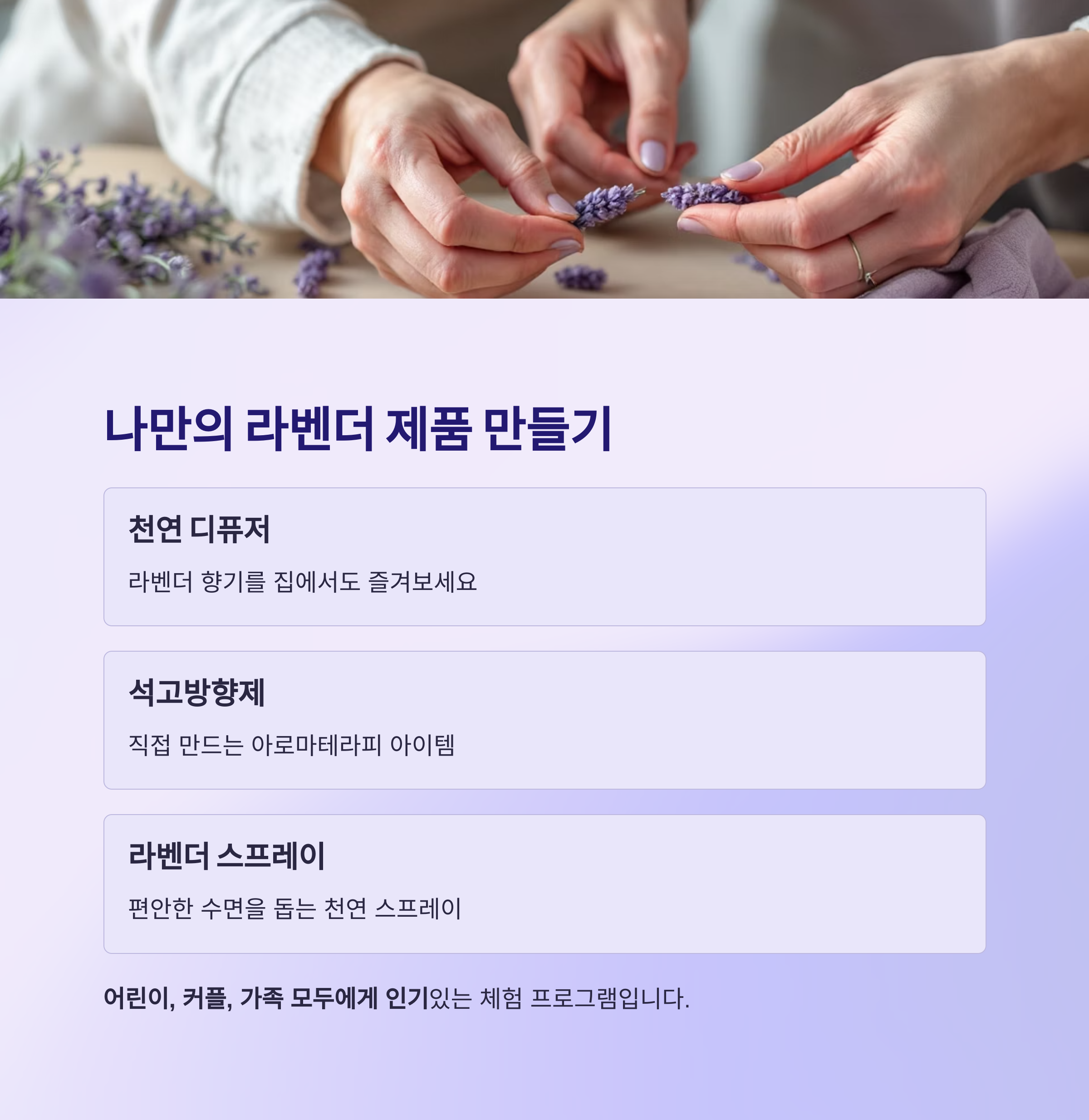 고창청농원 라벤더 축제 2025