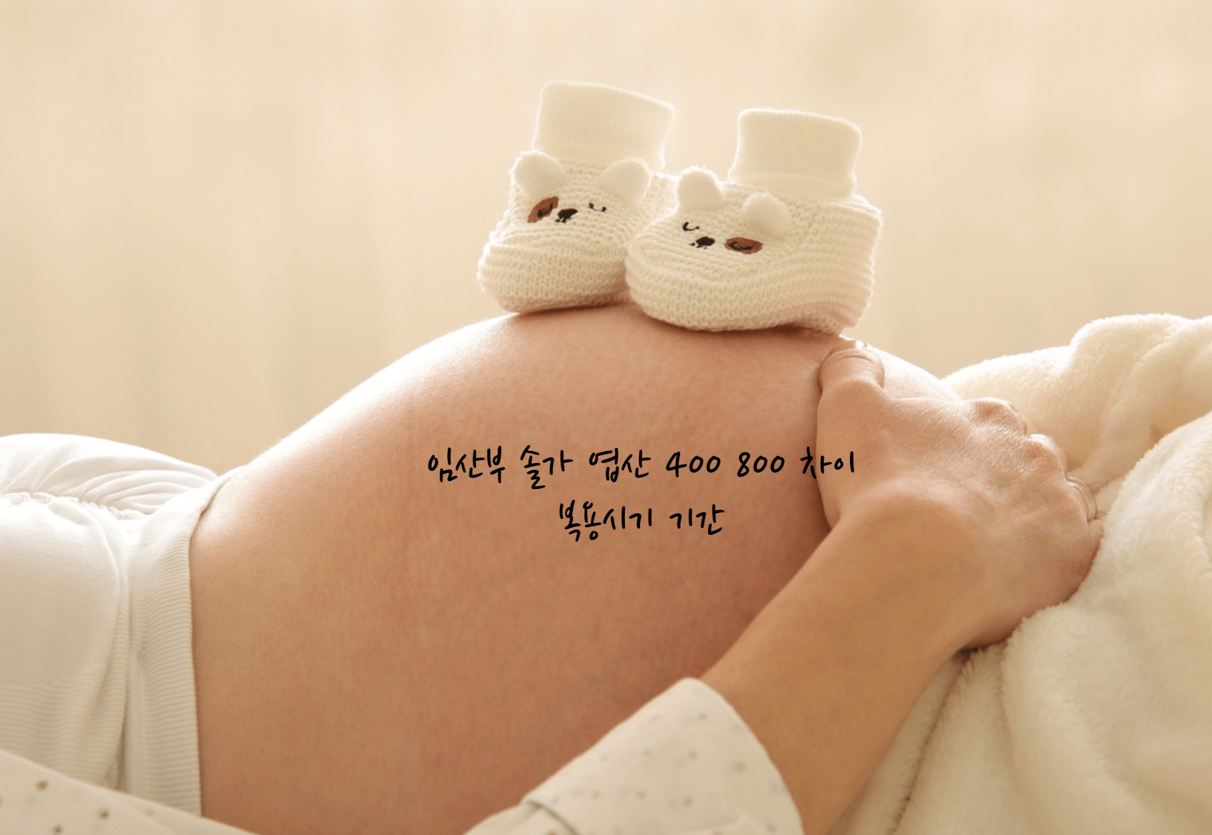 임산부 솔가 엽산