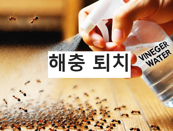 천연 해충 퇴치법