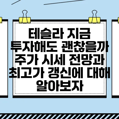 테슬라 지금 투자해도 괜찮을까 주가 시세 전망과 최고가 갱신에 대해 알아보자