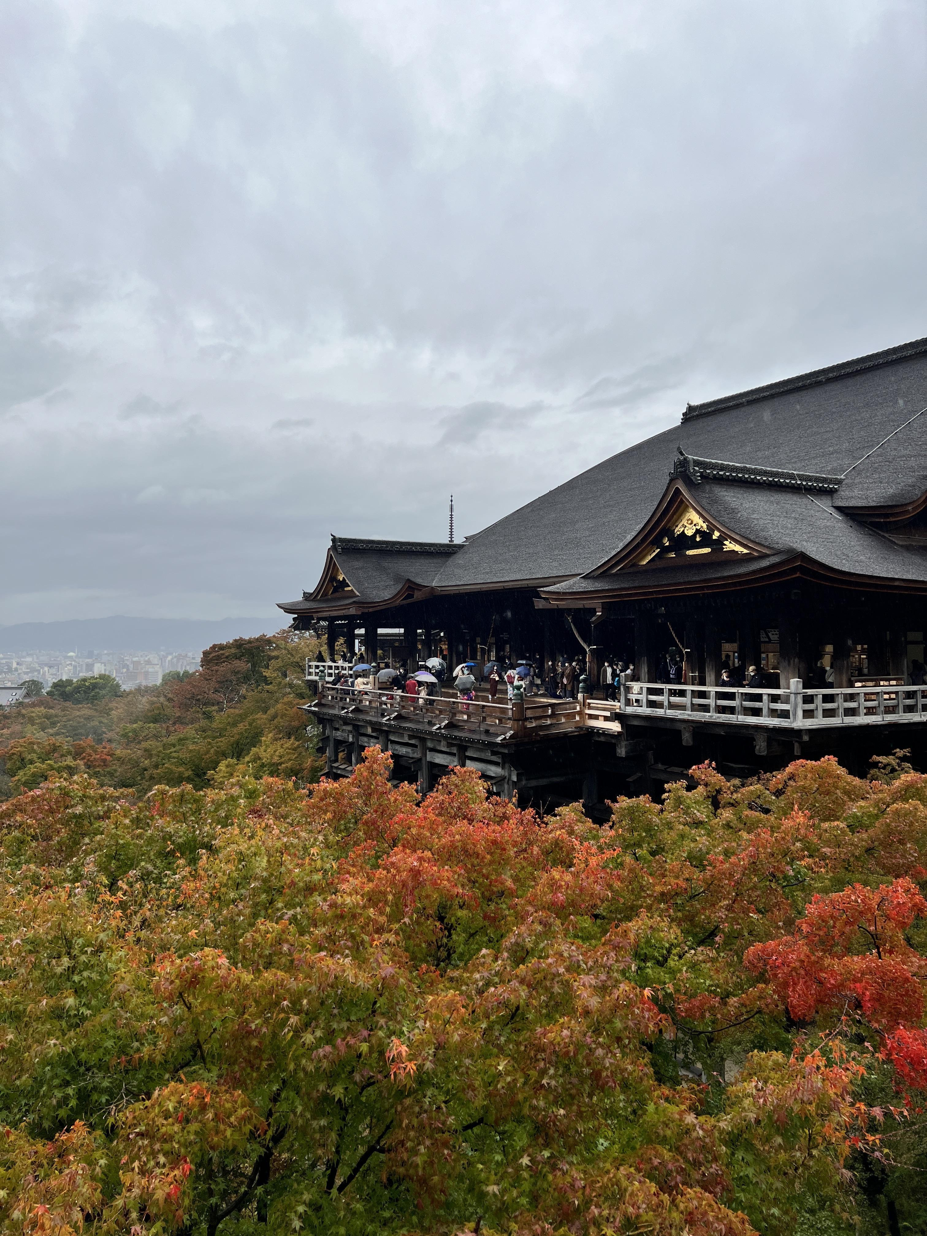 교토 관광지 추천