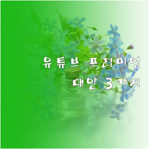 유튜브 프리미엄 무료 계정 연장 안될..