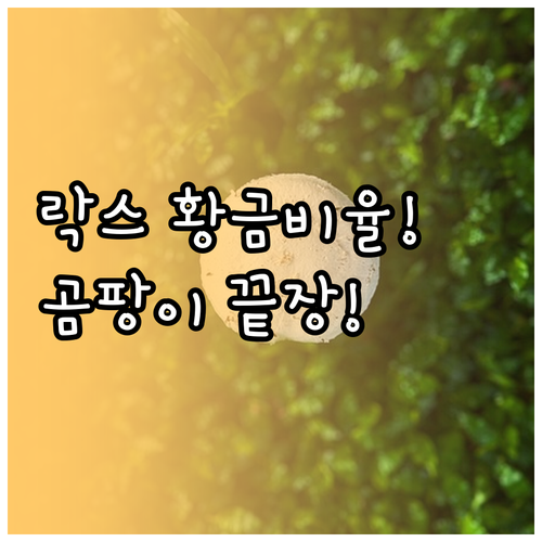 곰팡이 완벽 제거 락스 희석 비율 1..