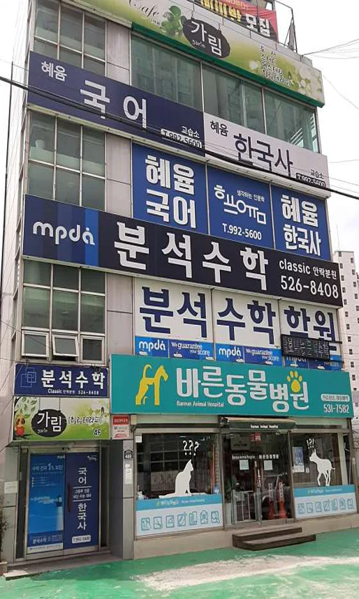 혜윰국어&이도용사회탐구