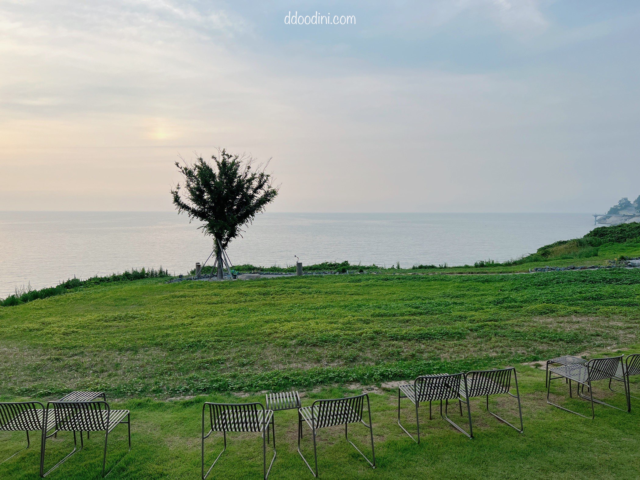 백수해안도로 보리