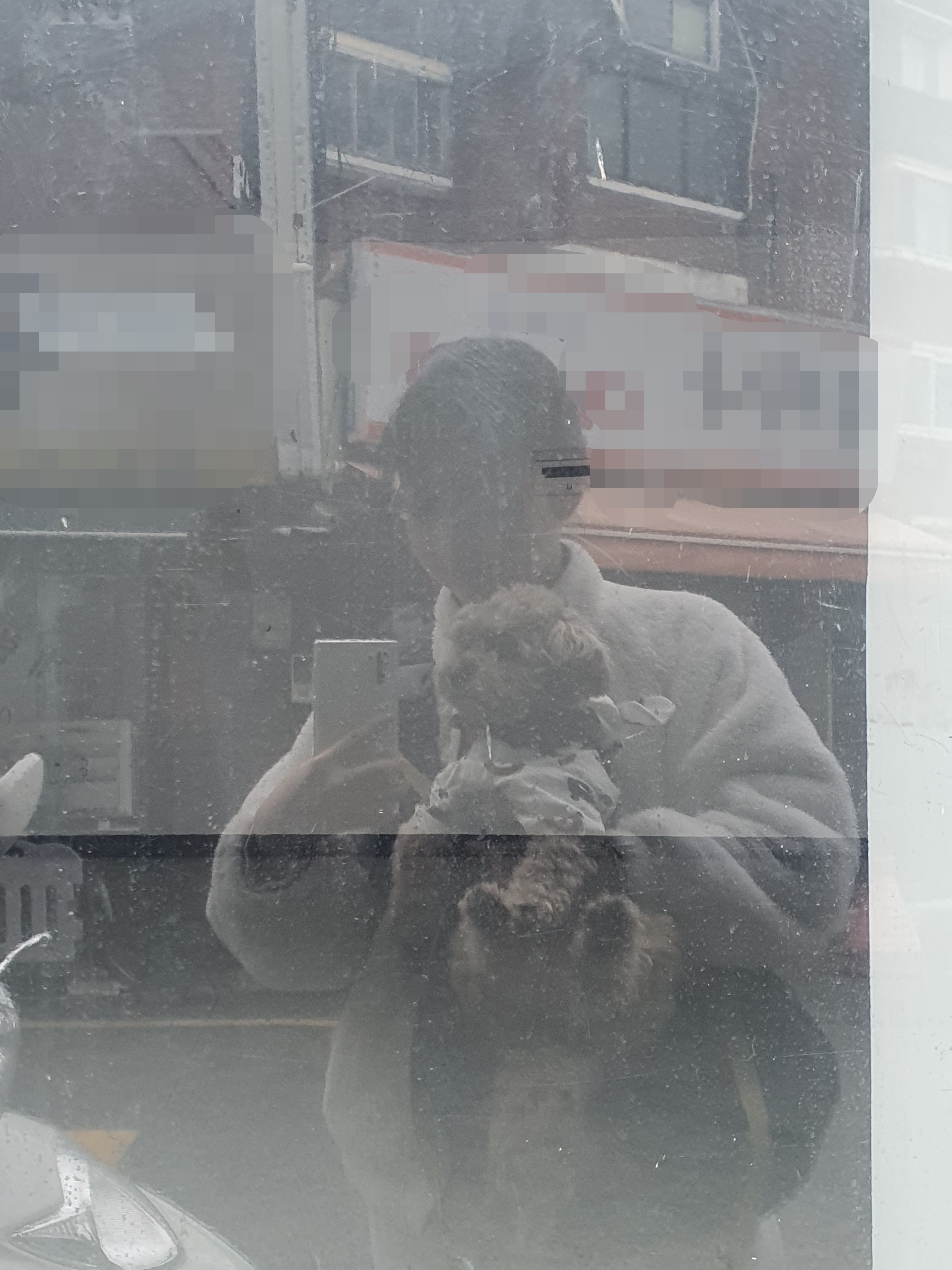 비오는 날 산책