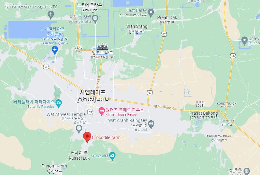 시엠립 악어농장