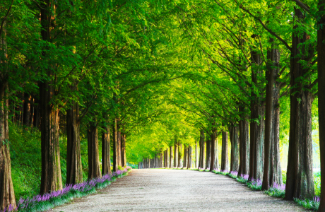 5월 여행지 추천