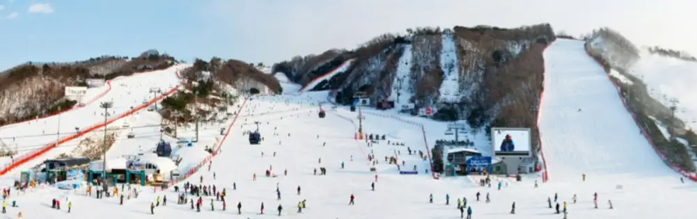 비발디 파크 전경