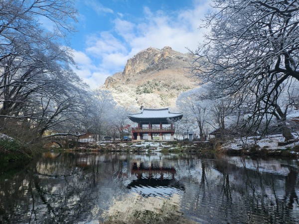 전라도 겨울 트레킹 명소 BEST 5, 남도에서 만나는 고요한 숲길 여행