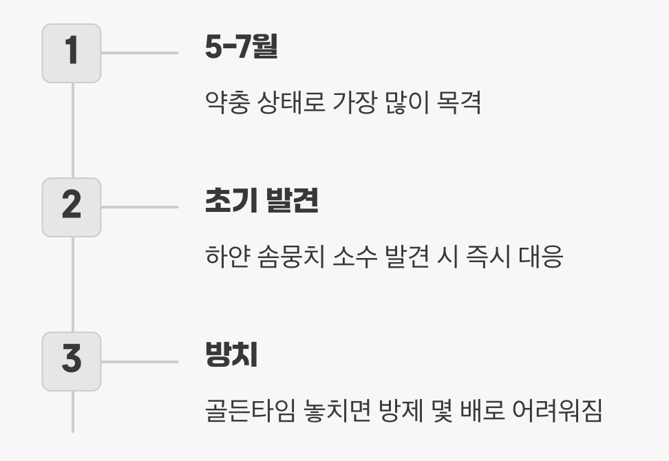 3. 골든타임, 초기 발견이 전부입니다