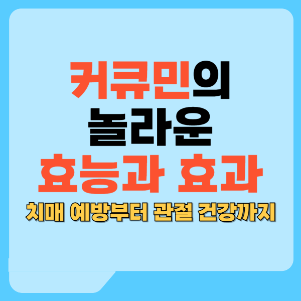 커큐민의 놀라운 효능과 효과 치매예방, 관절건강까지 텍스트 썸네일