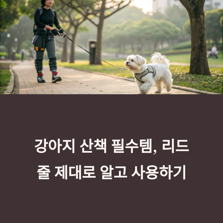 강아지 산책 필수템, 리드줄 제대로 알고 사용하기
