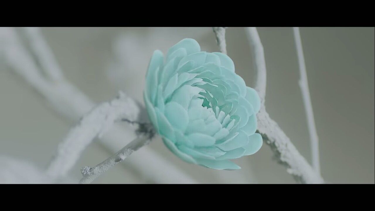 아이즈원 프로듀스48 사진 모음 아이즈원 프로듀스48 사진 모음