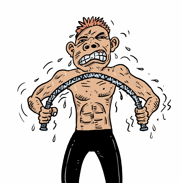 쥬비스 다이어트 가격