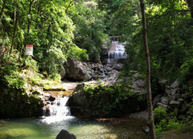 사노라면 산골밥집 미자 성주