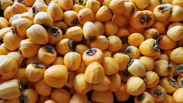 함양고종시곶감축제