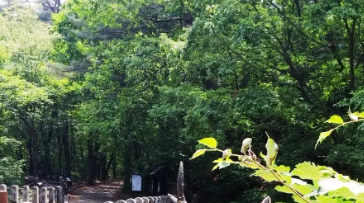 가을단풍 단풍버스 당일여행