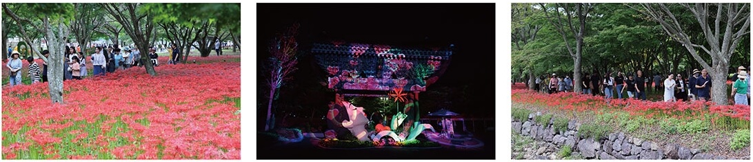 9월 축제&amp;#44; 9월 가볼만한 곳&amp;#44; 9월 여행&amp;#44; 가을 축제&amp;#44; 가을 갈 만한 곳&amp;#44; 평창 백일홍 축제&amp;#44; 자라섬 꽃 페스타&amp;#44; 강남페스티벌&amp;#44; 경기 도자비엔날레&amp;#44; 홍성 남당항 대하축제&amp;#44; 디자인 아트 페어&amp;#44; 천안 흥타령 춤 축제&amp;#44; 안동 국제 탈춤 페스티벌&amp;#44; 무주 반딧불축제&amp;#44; 영광 불갑산 상사화축제